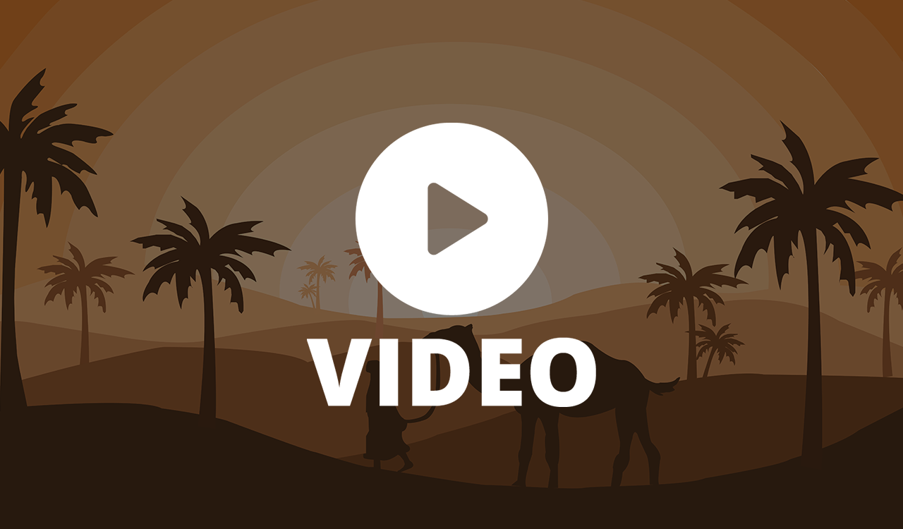 Gallery Video 2